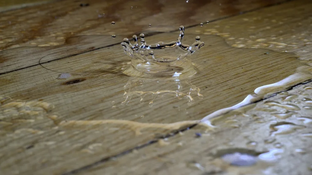 Water Damage Restoration Tips for Protecting Your Property