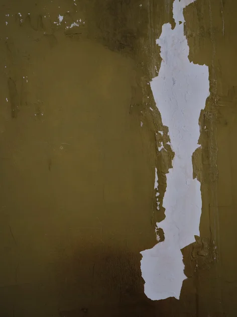 The Anatomy of Drywall Damage