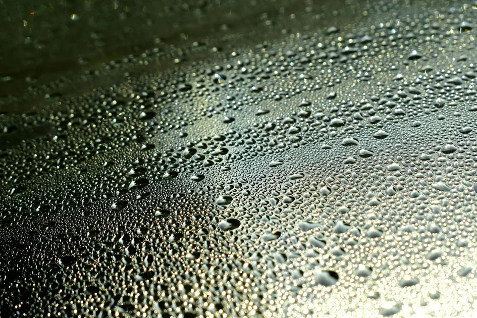 The Physics of Moisture Management